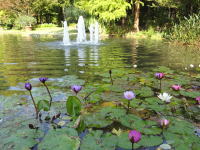 久屋大通庭園フラリエ園内の池